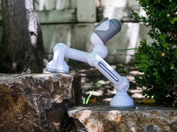 Facebook vs Instagram : quel réseau social choisir pour votre entreprise ?